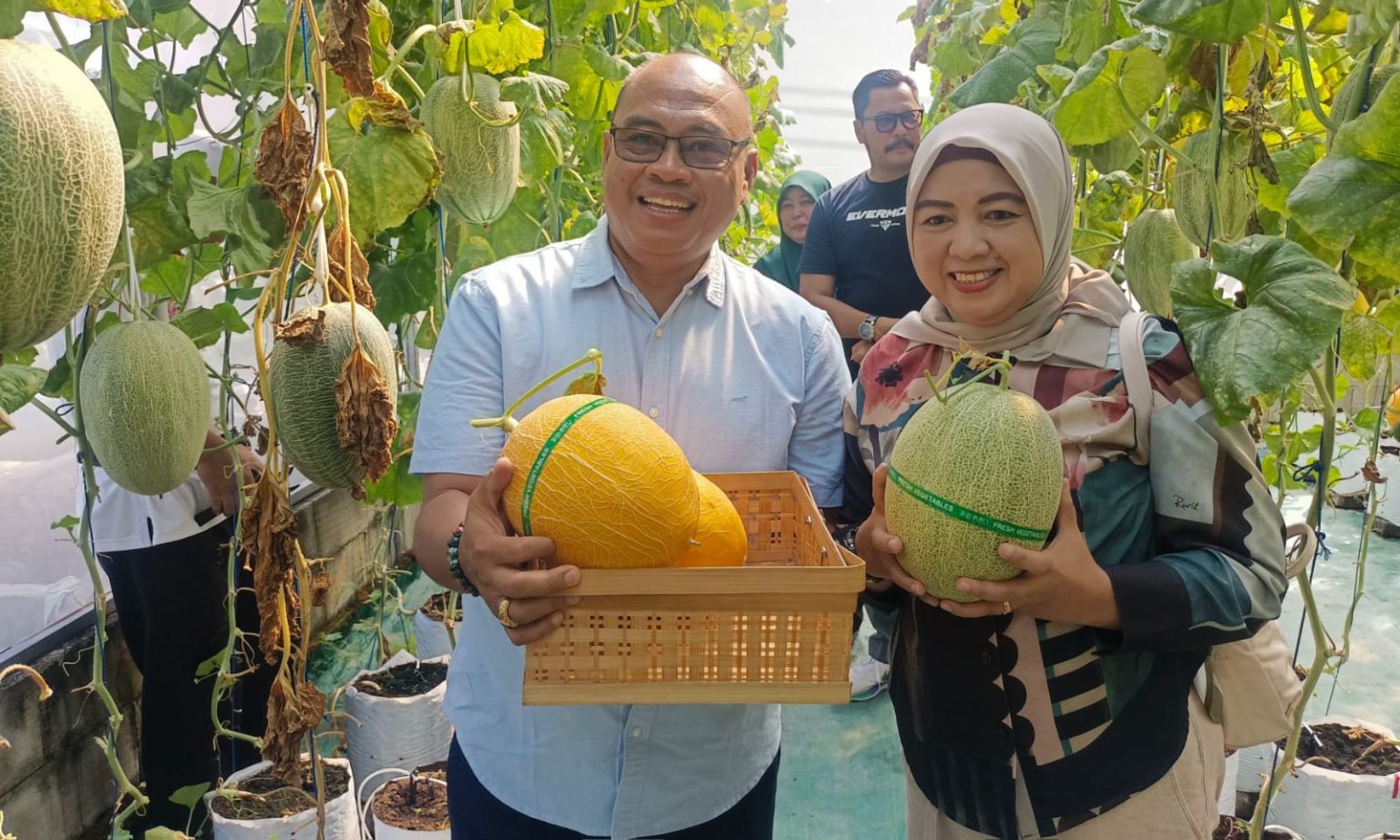 panen raya